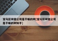 宝马区块链公司是干嘛的啊[宝马区块链公司是干嘛的啊知乎]